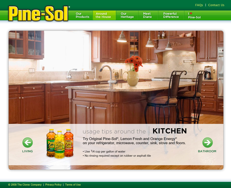 site_pine-sol_feature_s3_0709