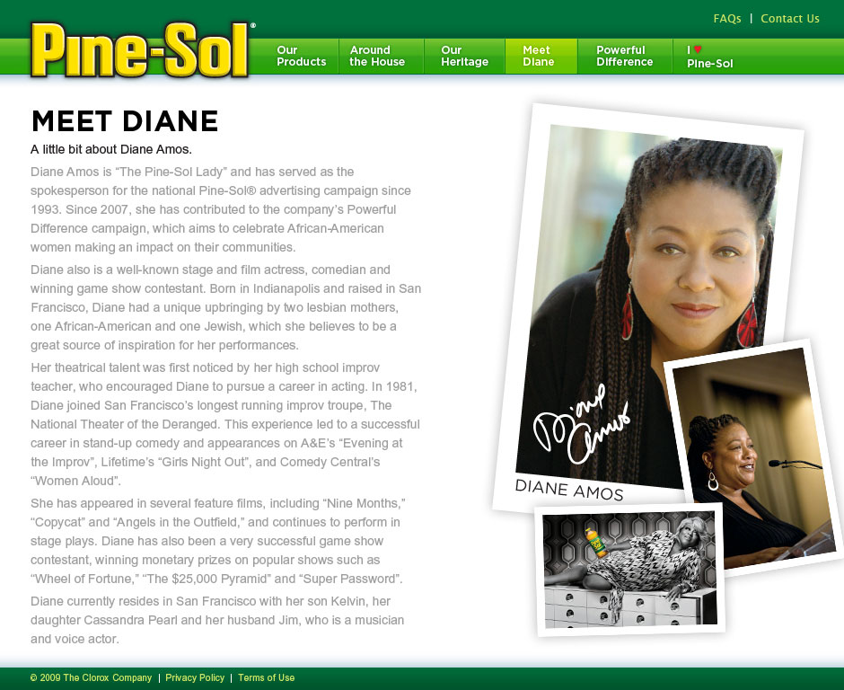 site_pine-sol_feature_s5_0709